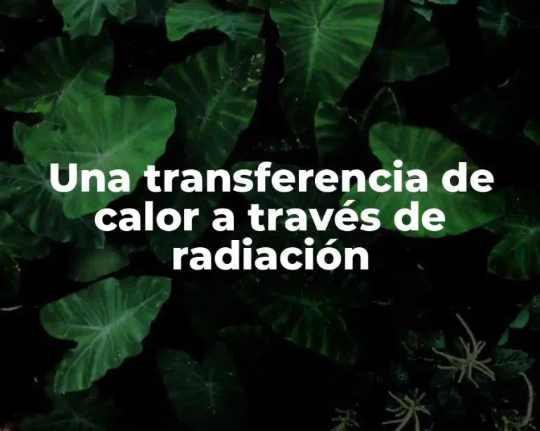 Una transferencia de calor a través de radiación