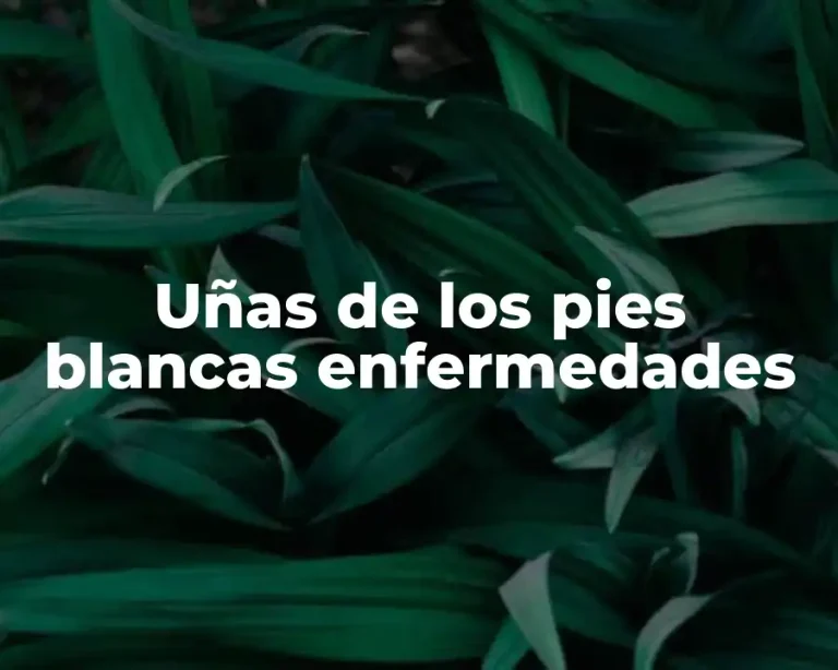 Uñas de los pies blancas enfermedades