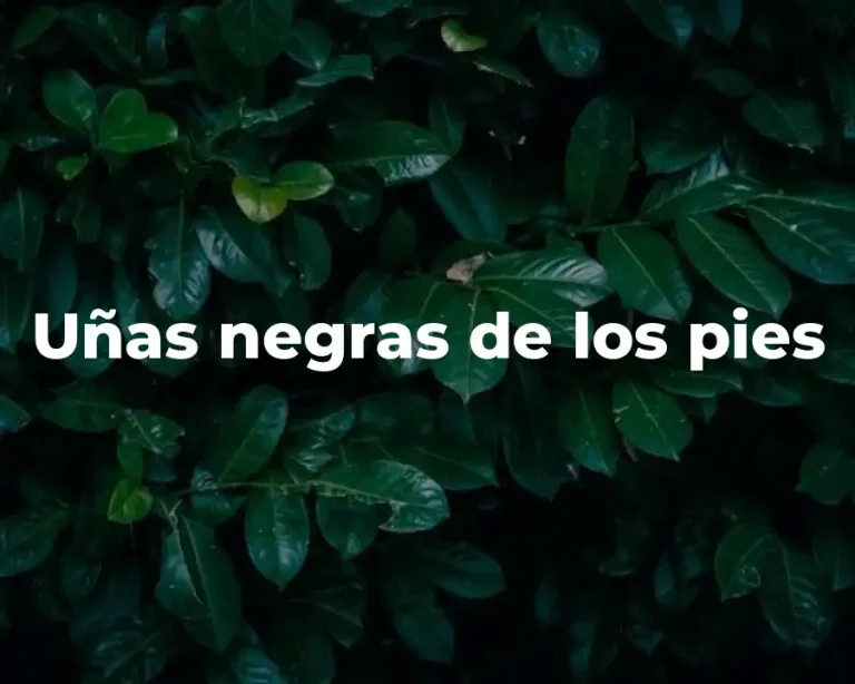 Uñas negras de los pies