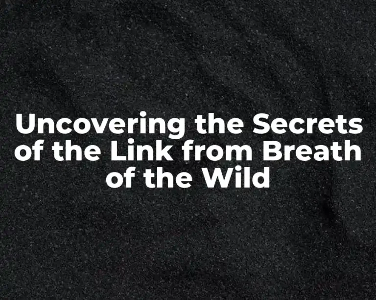 Uncovering the Secrets of the Link from Breath of the Wild