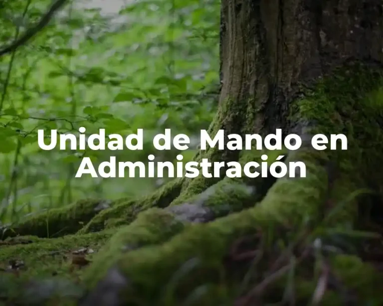 Unidad de Mando en Administración