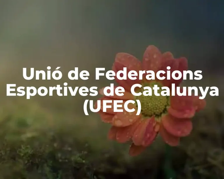 Unió de Federacions Esportives de Catalunya (UFEC)
