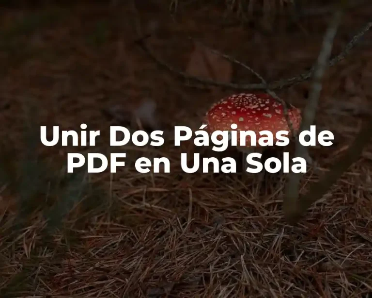 Unir Dos Páginas de PDF en Una Sola