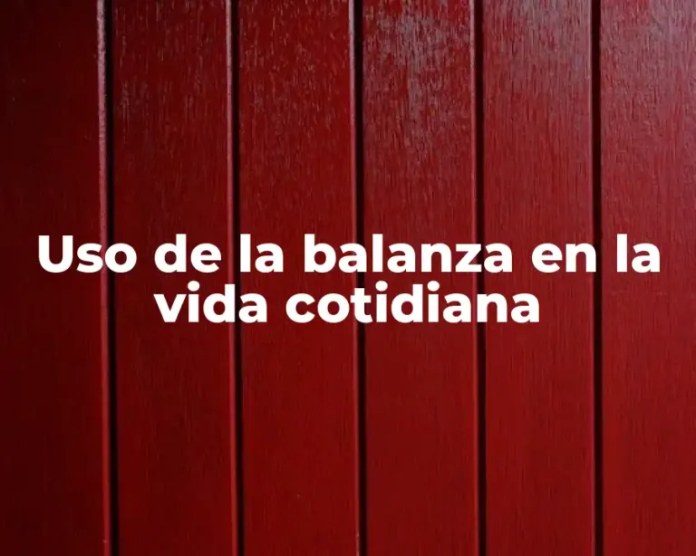Uso de la balanza en la vida cotidiana