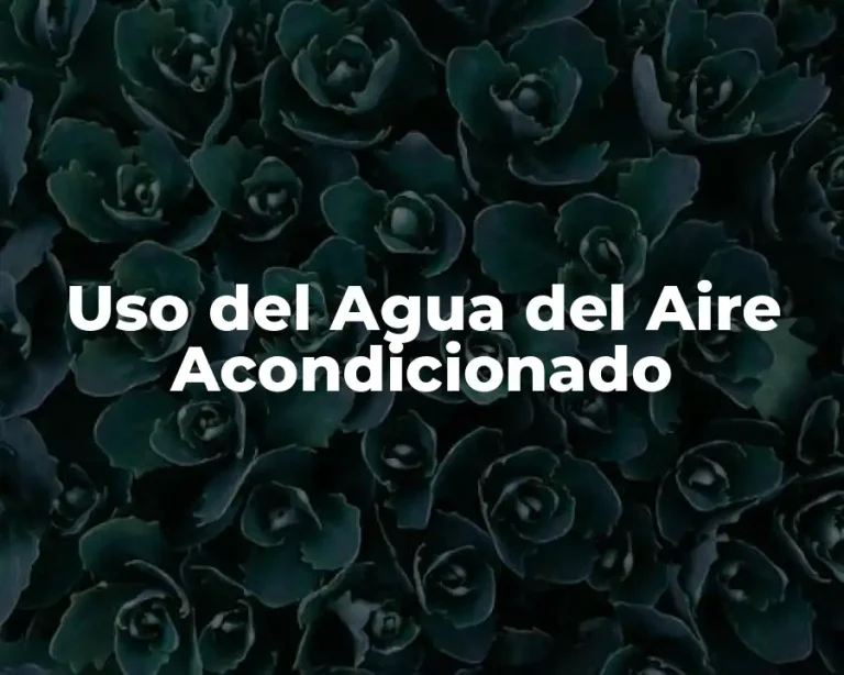 Uso del Agua del Aire Acondicionado