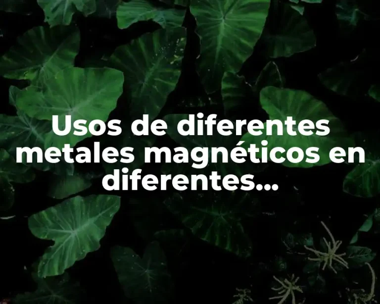 Usos de diferentes metales magnéticos en diferentes temperaturas