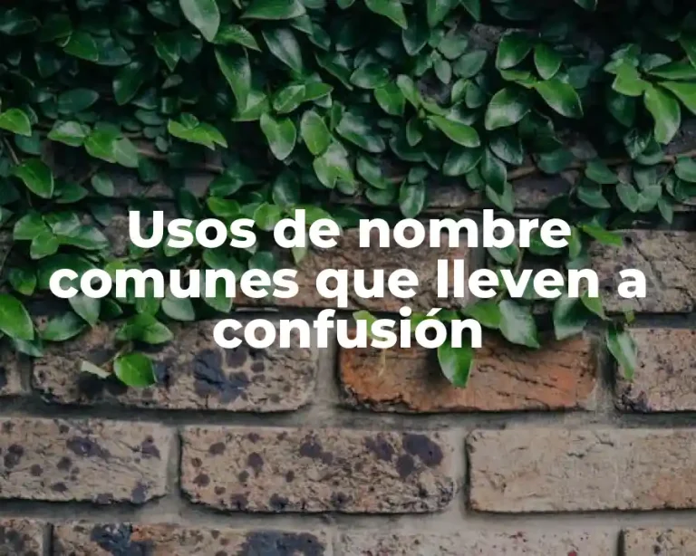 Usos de nombre comunes que lleven a confusión