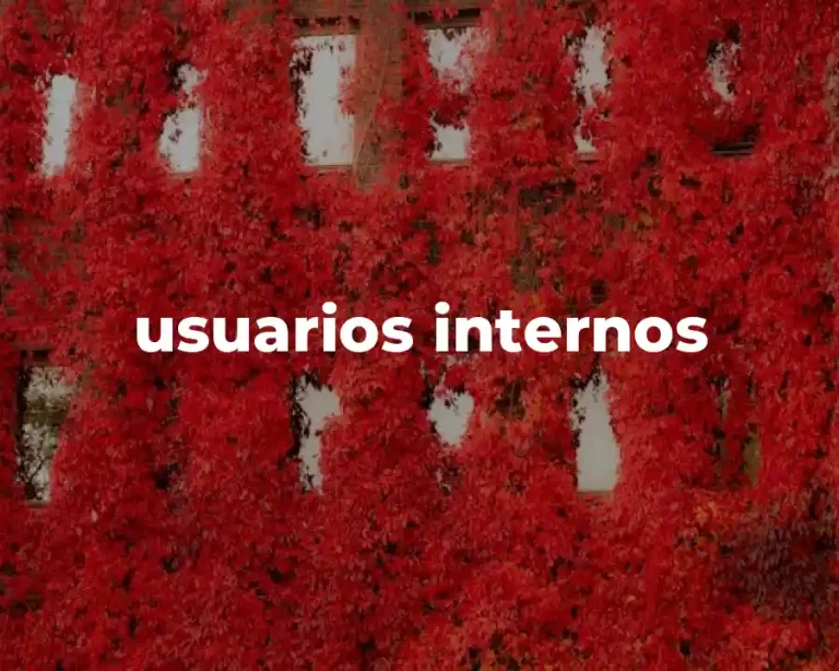 usuarios internos