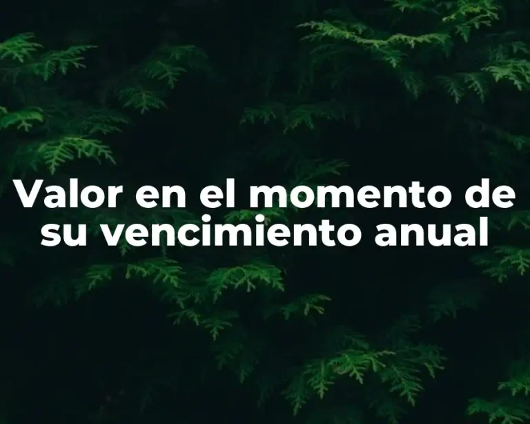 Valor en el momento de su vencimiento anual