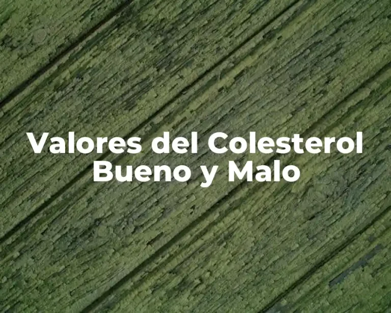 Valores del Colesterol Bueno y Malo
