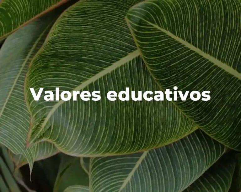 Valores educativos