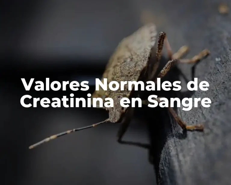 Valores Normales de Creatinina en Sangre