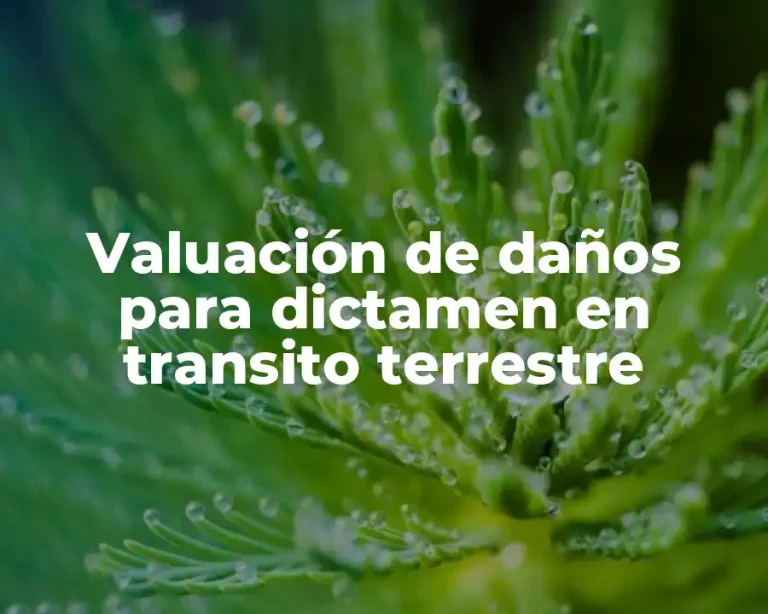 Valuación de daños para dictamen en transito terrestre