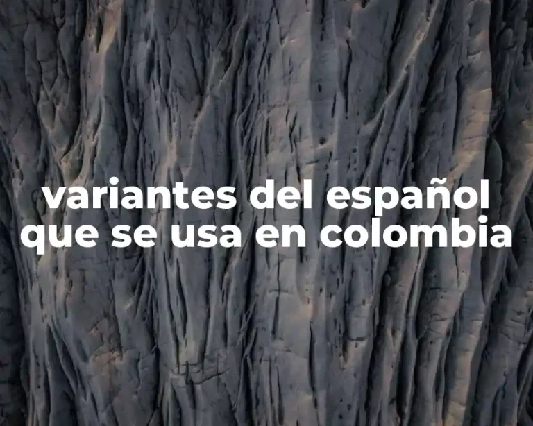 variantes del español que se usa en colombia