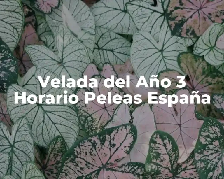 Velada del Año 3 Horario Peleas España