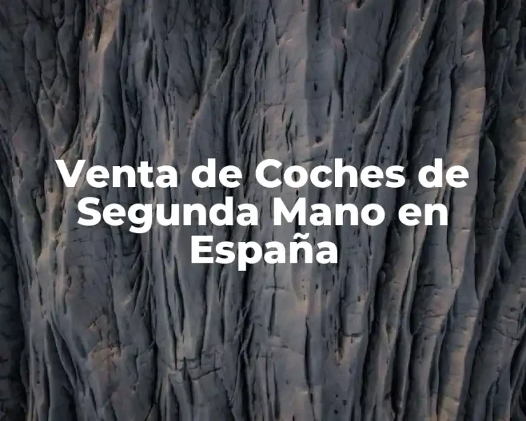 Venta de Coches de Segunda Mano en España