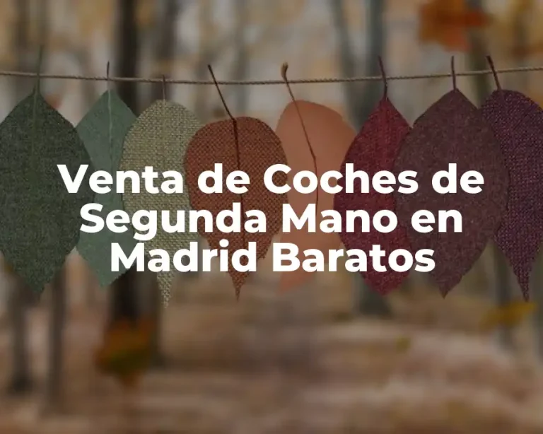 Venta de Coches de Segunda Mano en Madrid Baratos