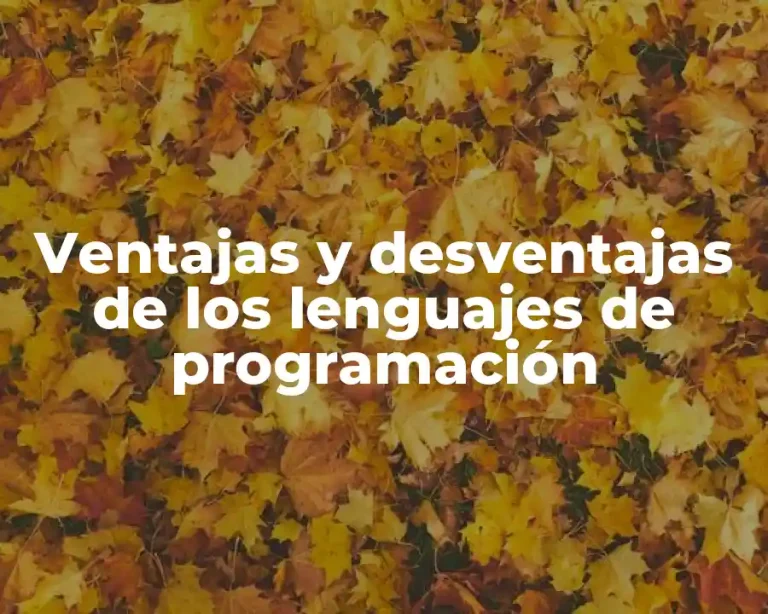 Ventajas y desventajas de los lenguajes de programación