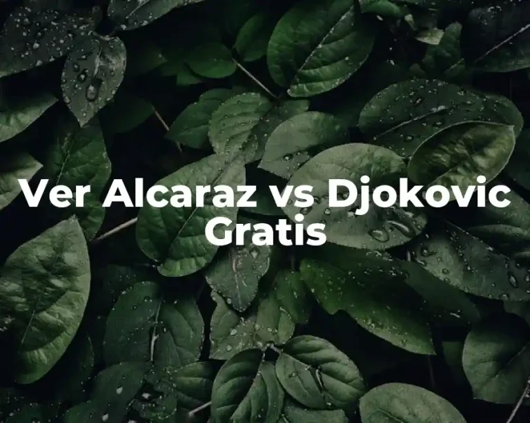 Ver Alcaraz vs Djokovic Gratis