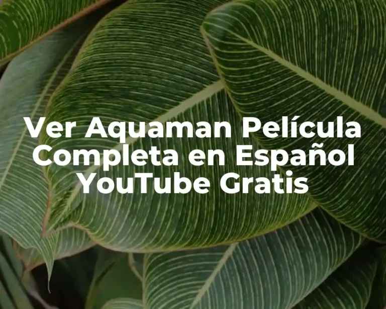Ver Aquaman Película Completa en Español YouTube Gratis