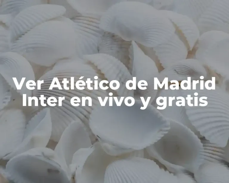 Ver Atlético de Madrid Inter en vivo y gratis