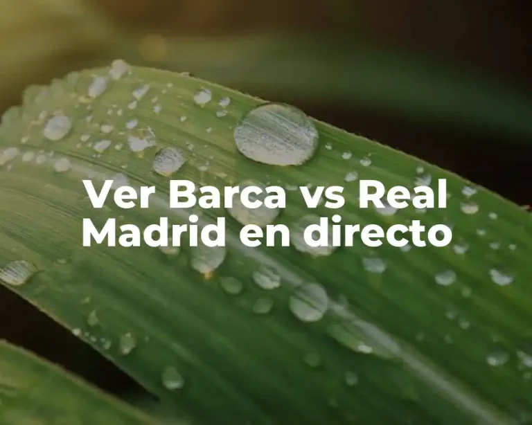 Ver Barca vs Real Madrid en directo