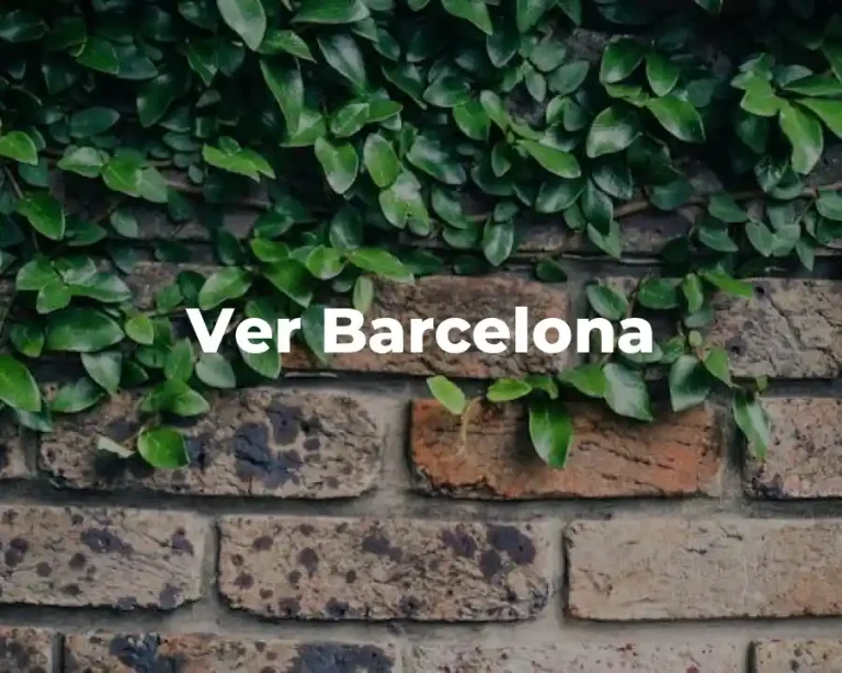 Ver Barcelona