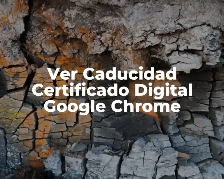 Ver Caducidad Certificado Digital Google Chrome