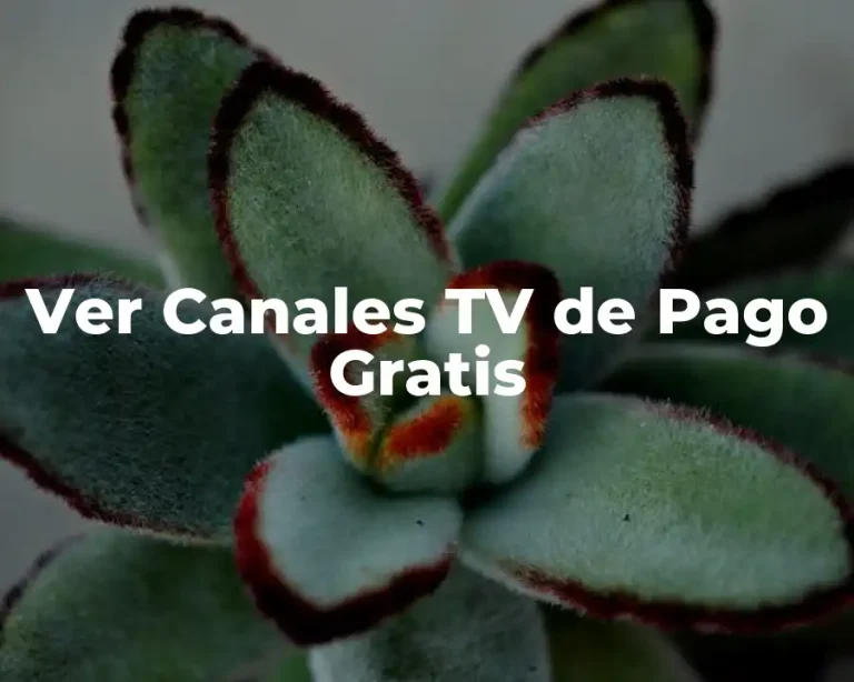Ver Canales TV de Pago Gratis