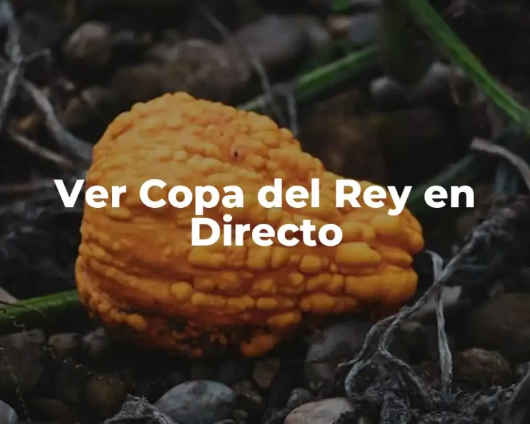 Ver Copa del Rey en Directo