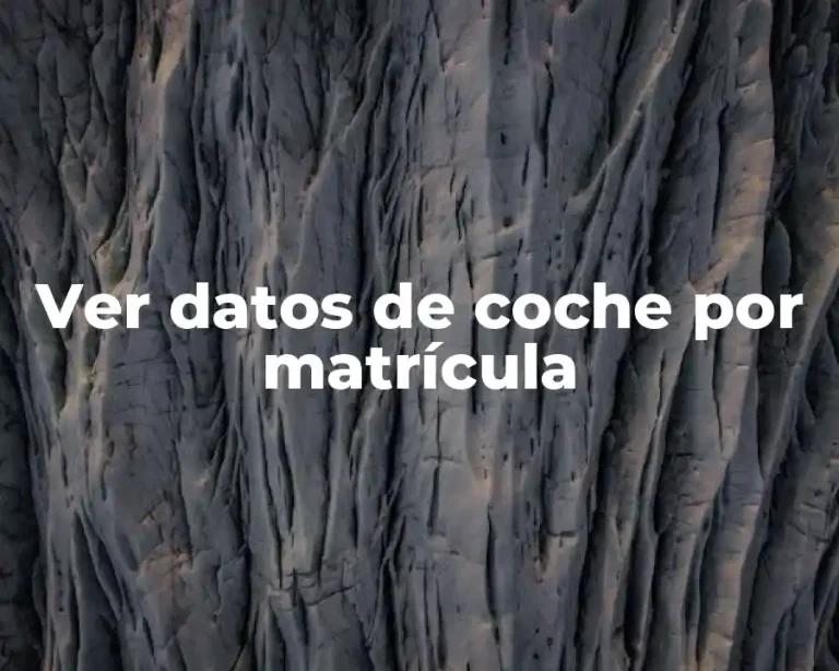 Ver datos de coche por matrícula