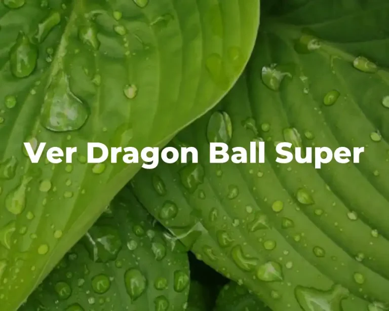 Ver Dragon Ball Super