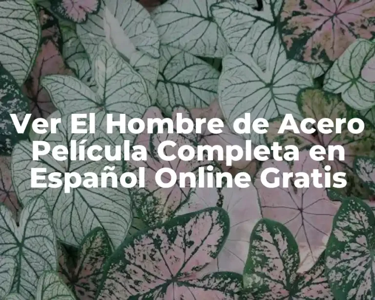 Ver El Hombre de Acero Película Completa en Español Online Gratis