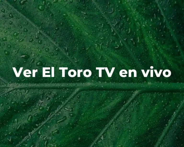 Ver El Toro TV en vivo