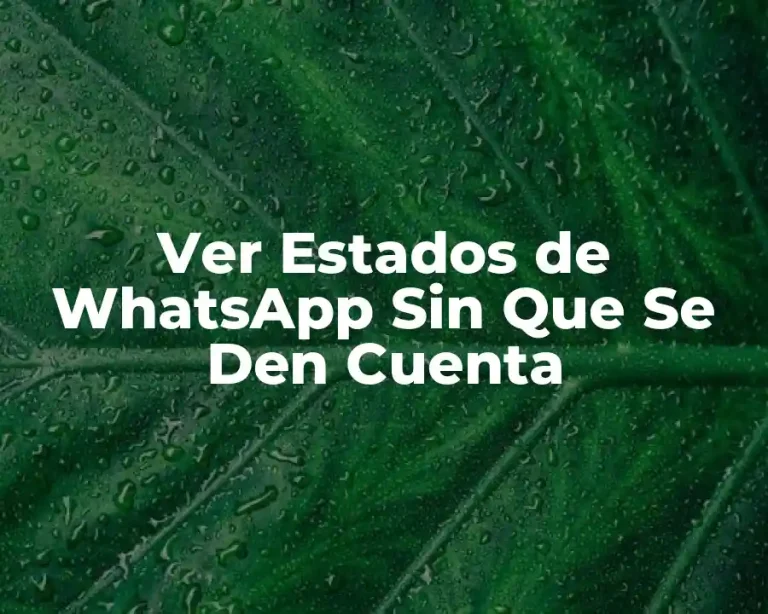 Ver Estados de WhatsApp Sin Que Se Den Cuenta