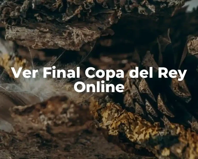 Ver Final Copa del Rey Online