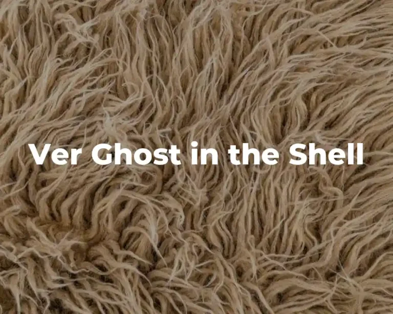 Ver Ghost in the Shell