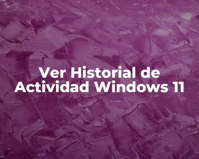 Ver Historial de Actividad Windows 11