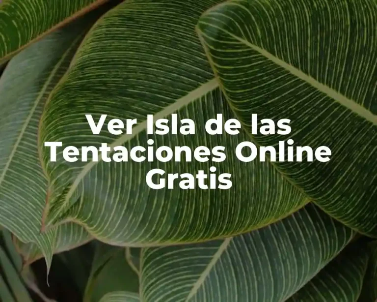 Ver Isla de las Tentaciones Online Gratis