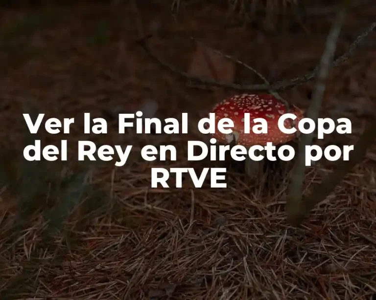 Ver la Final de la Copa del Rey en Directo por RTVE
