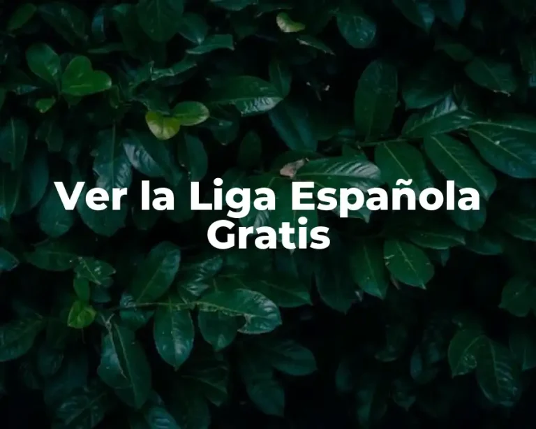 Ver la Liga Española Gratis