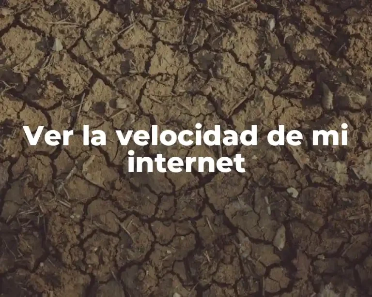 Ver la velocidad de mi internet