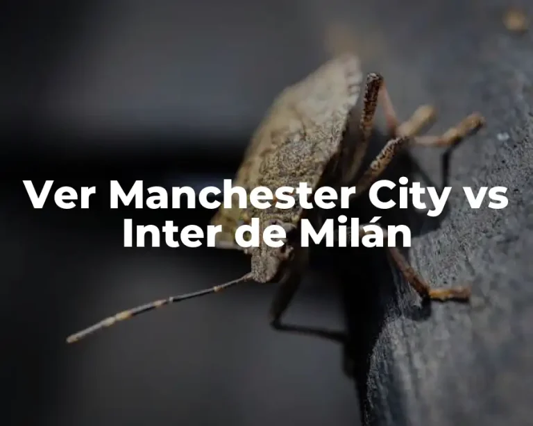 Ver Manchester City vs Inter de Milán