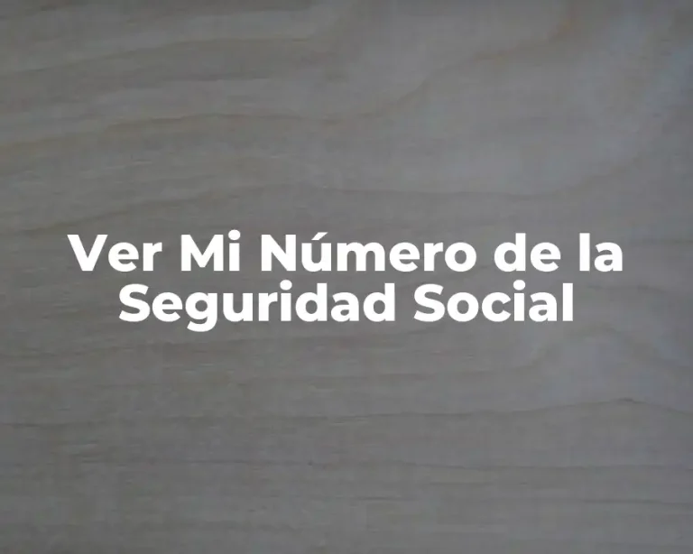 Ver Mi Número de la Seguridad Social