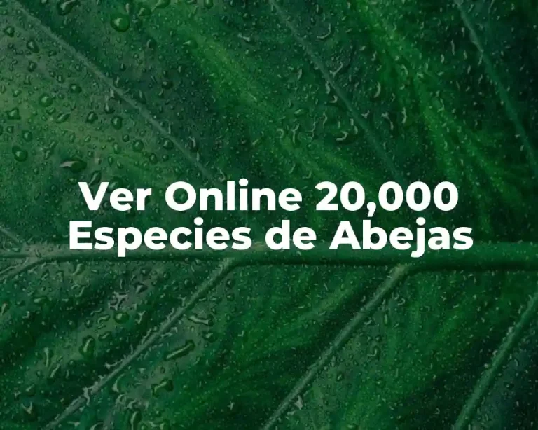 Ver Online 20,000 Especies de Abejas
