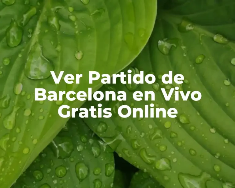 Ver Partido de Barcelona en Vivo Gratis Online