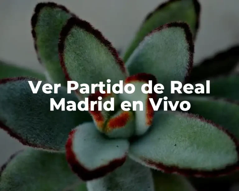 Ver Partido de Real Madrid en Vivo