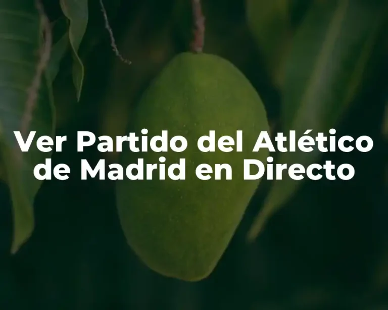 Ver Partido del Atlético de Madrid en Directo