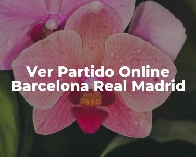 Ver Partido Online Barcelona Real Madrid