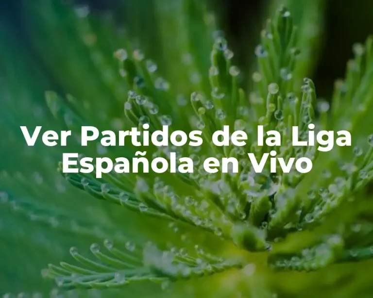 Ver Partidos de la Liga Española en Vivo